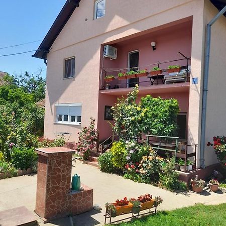 Soba Lavanda Kladovo Buitenkant foto
