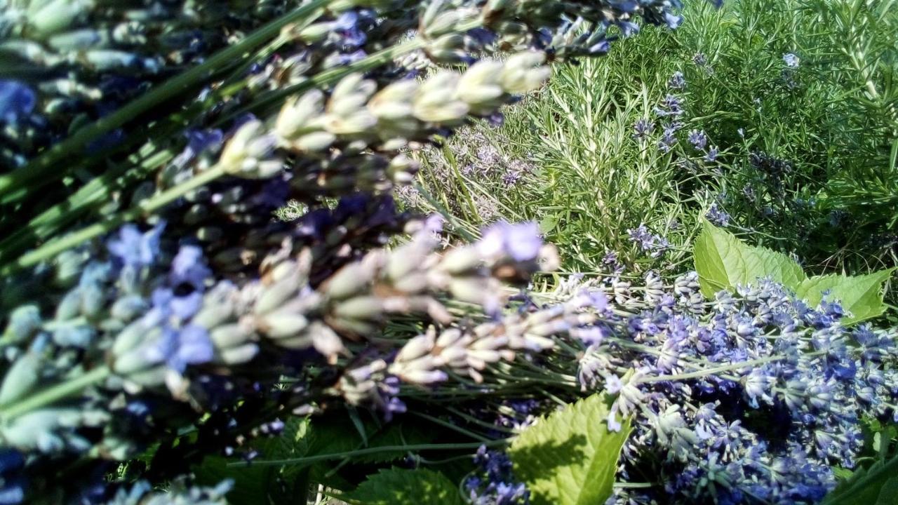 Soba Lavanda Kladovo Buitenkant foto