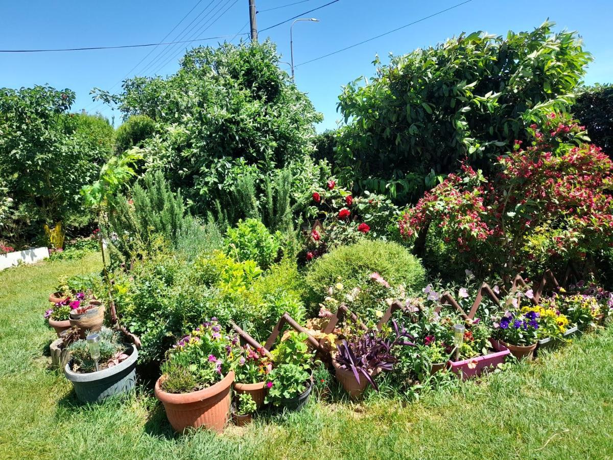 Soba Lavanda Kladovo Buitenkant foto