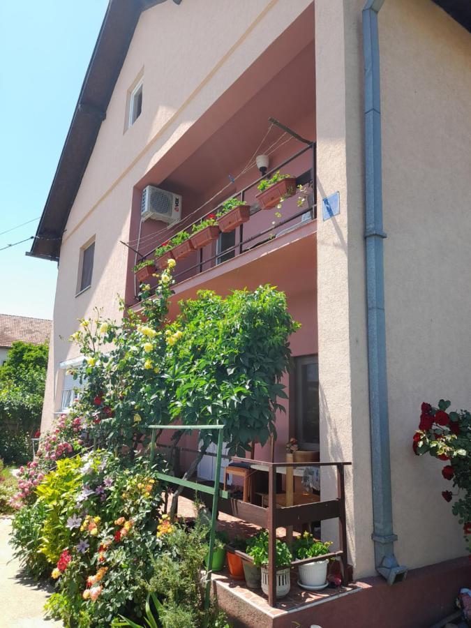 Soba Lavanda Kladovo Buitenkant foto
