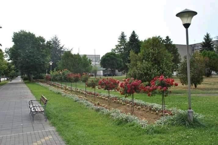 Soba Lavanda Kladovo Buitenkant foto